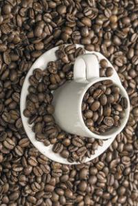 专家教您如何选购咖啡豆摘要:把咖啡豆剥开还可以看出烘焙时的火力