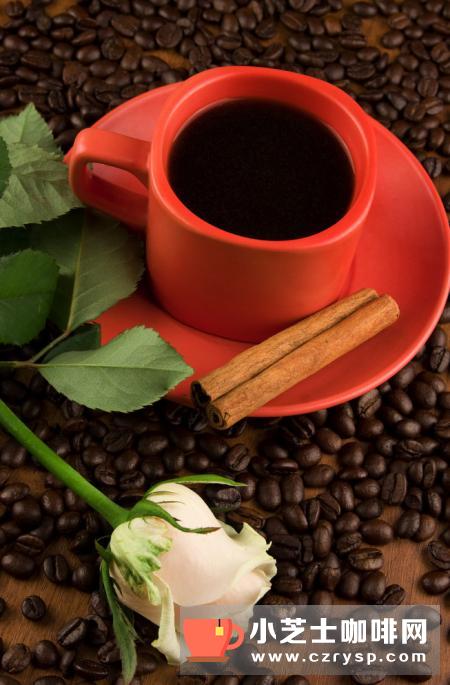  如果告诉你，有一天咖啡豆会灭绝，你会作何反应？
