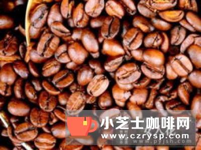 详解11个最常见的咖啡豆种